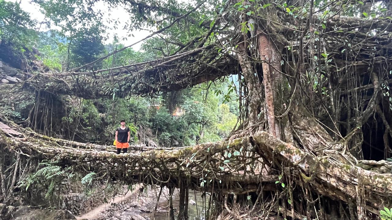 Living Root Bridge