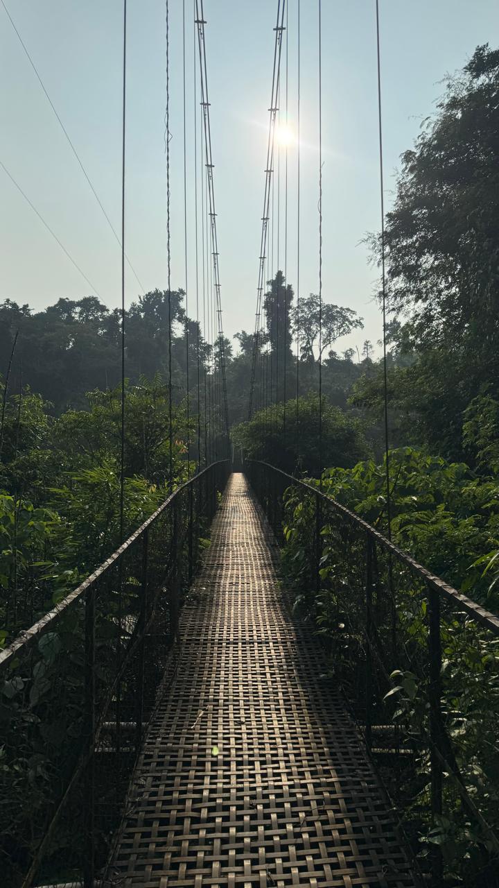 Assam & Meghalaya Tour Package